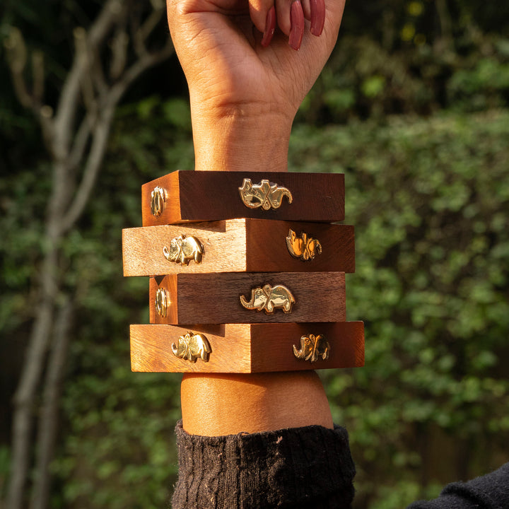 HASTI BANGLES - SET OF 4